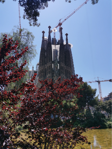 图片22_meitu_13.jpg 图片22_meitu_13.jpg