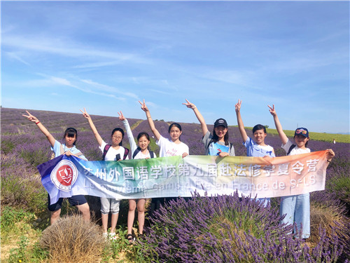第九届赴法修学普罗旺斯花田.JPG