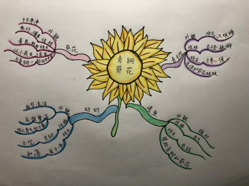 兴趣是最好的老师,是最大的内驱力,开学后,我又带着孩子们在思维导图