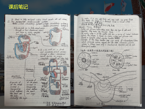 2 qiu棣ㄦ€iji.png