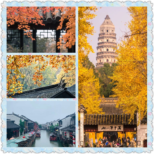 组图2.jpg
