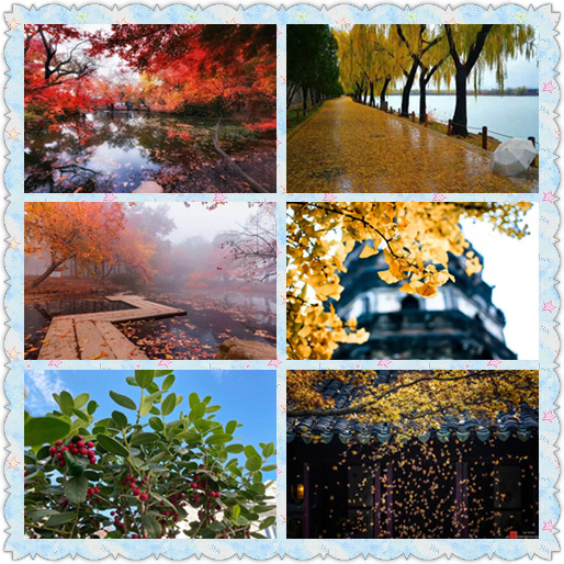 组图3.jpg