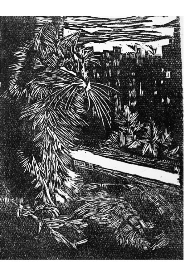 图片 9.jpg 图片 9.jpg