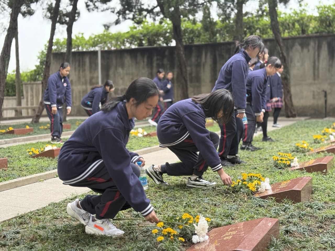 初中献花3.jpeg 初中献花3.jpeg