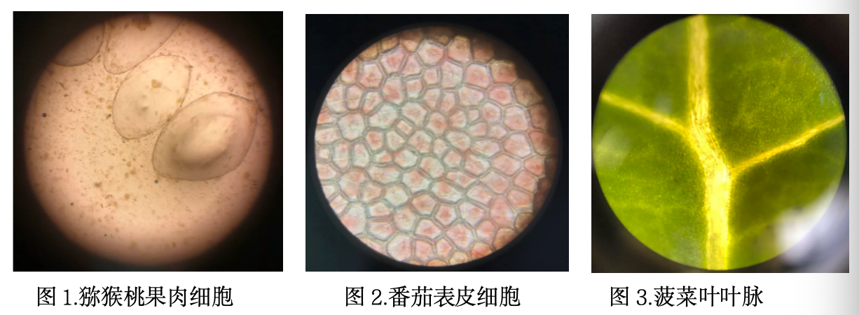 组合.png