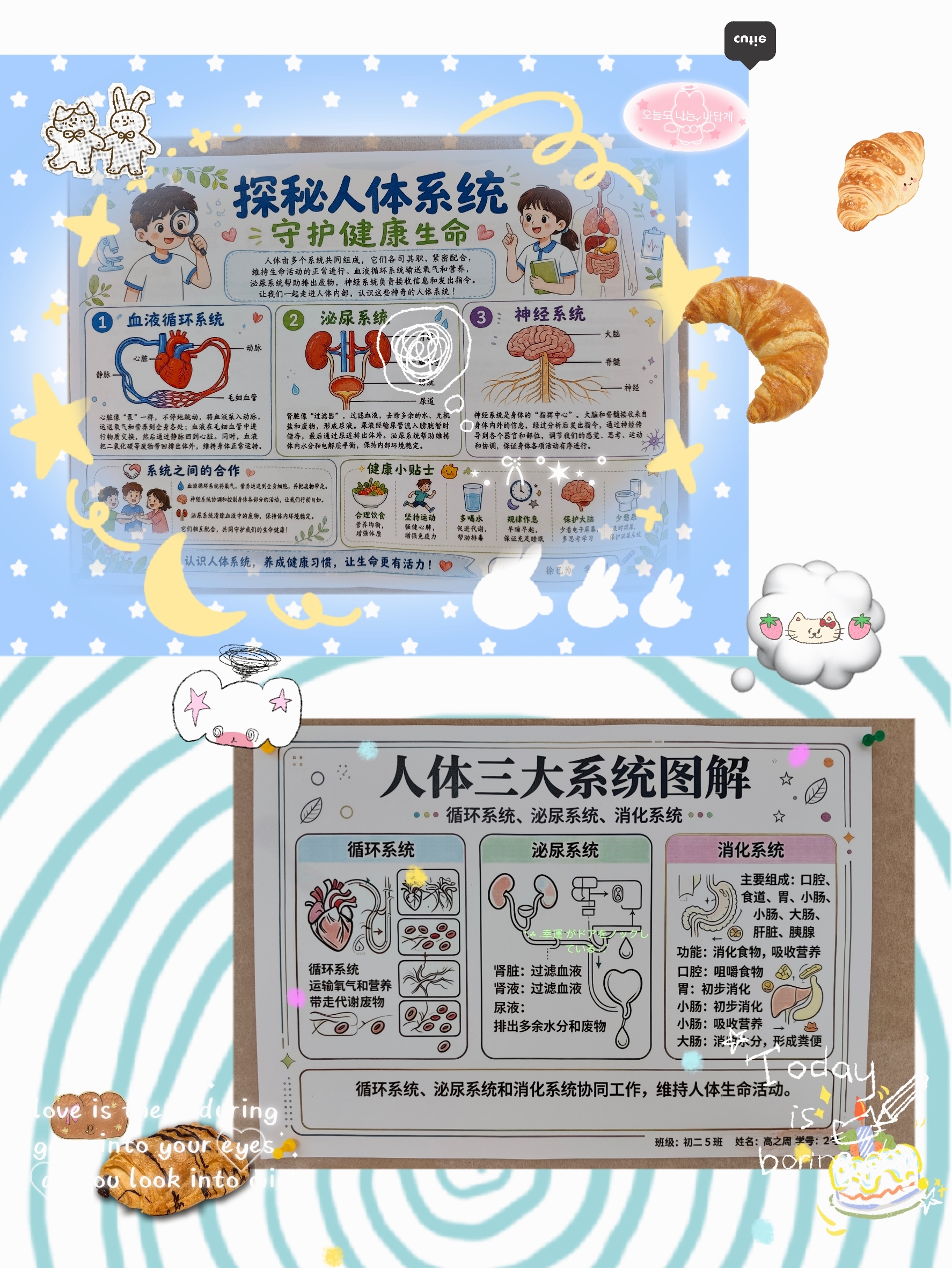 a526d56cab6cec556f4b4a6971ee043d_compress.jpg